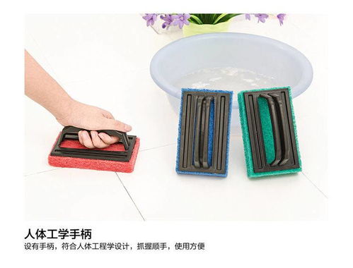 浴室清潔刷帶手柄衛生間瓷磚玻璃地板刷廚房去污洗鍋魔力海綿擦