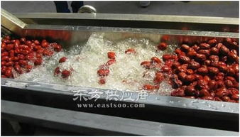 海產(chǎn)品清洗機器單價 諸城和義機械公司 天津海產(chǎn)品清洗機器圖片